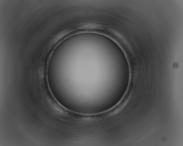 X0000096631017200802121042