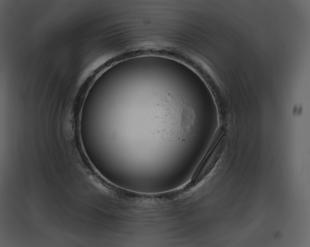X0000096631018200802121042