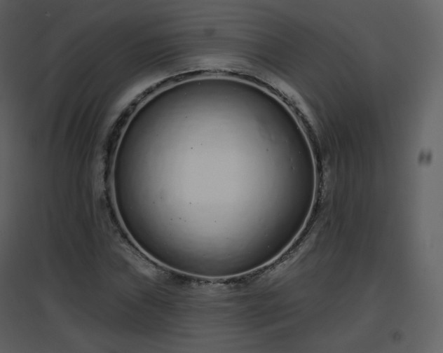 X0000096631019200802121042