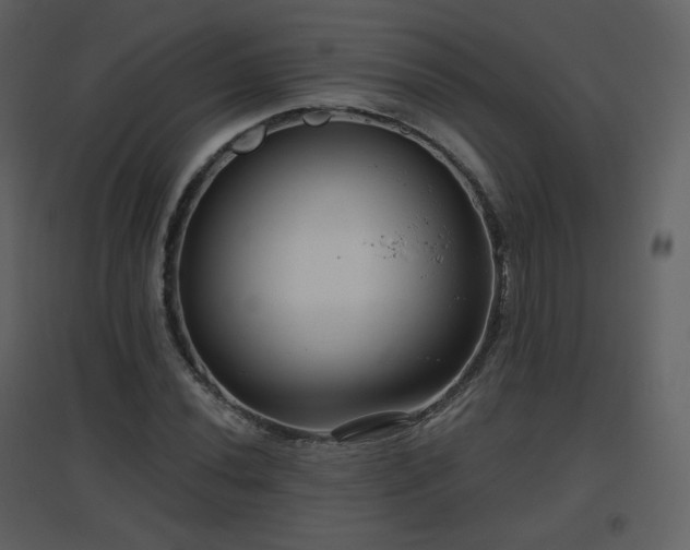 X0000096631020200802121042