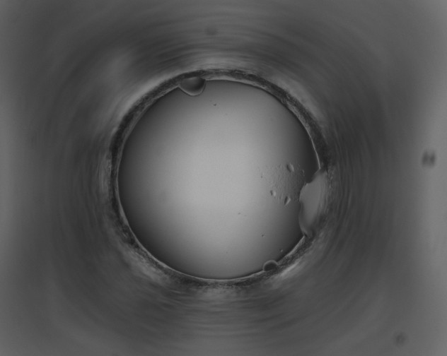 X0000096631021200802121042