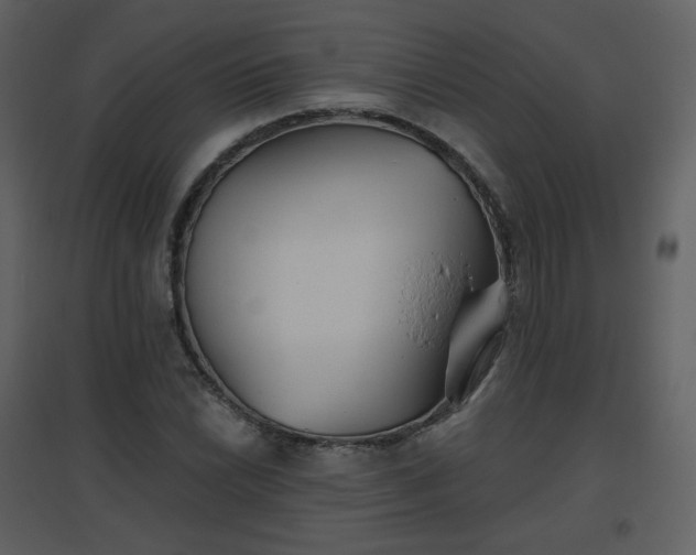 X0000096631022200802121042