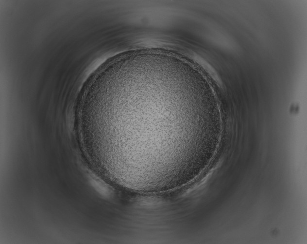 X0000096631023200802121042