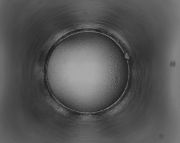 X0000096631025200802121042