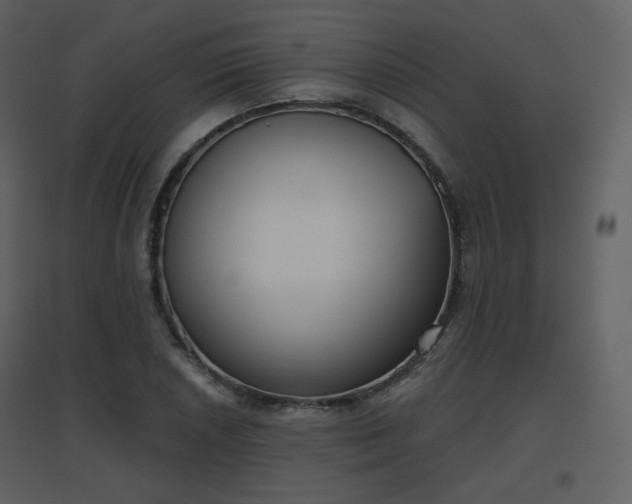 X0000096631026200802121042