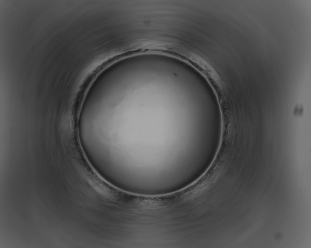 X0000096631027200802121043