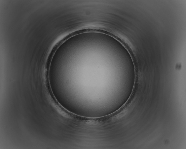 X0000096631029200802121043