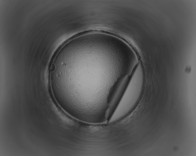 X0000096631032200802121043