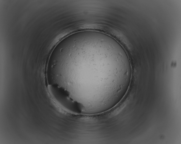 X0000096631033200802121043