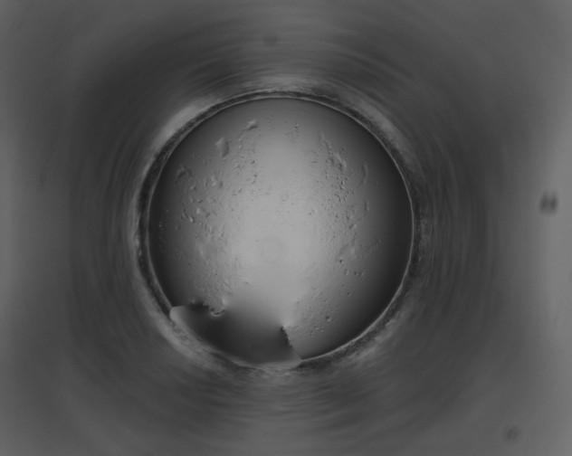 X0000096631034200802121043