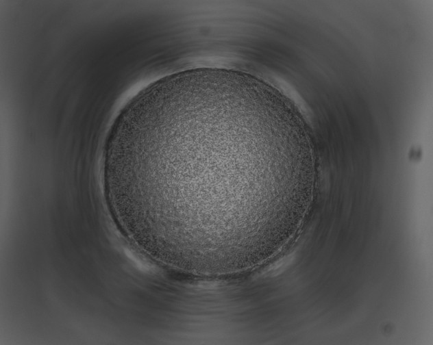 X0000096631035200802121043