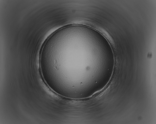 X0000096631036200802121043