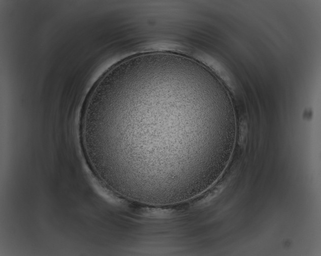 X0000096631039200802121043