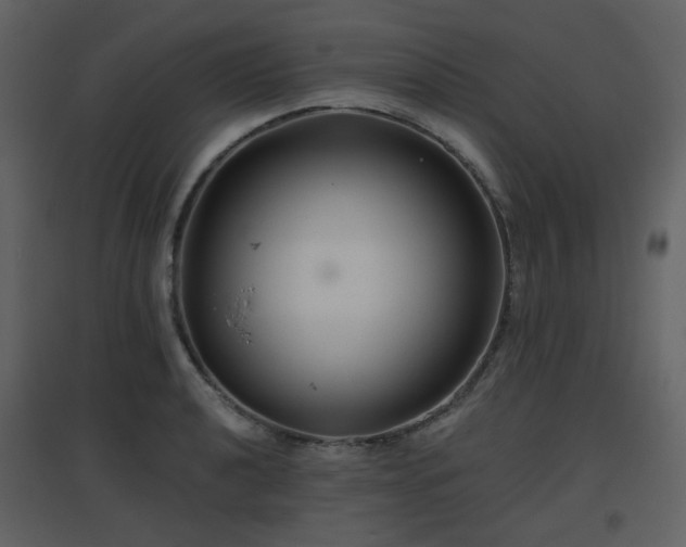 X0000096631040200802121043