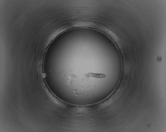 X0000096631041200802121043