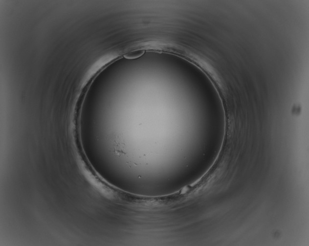 X0000096631042200802121043