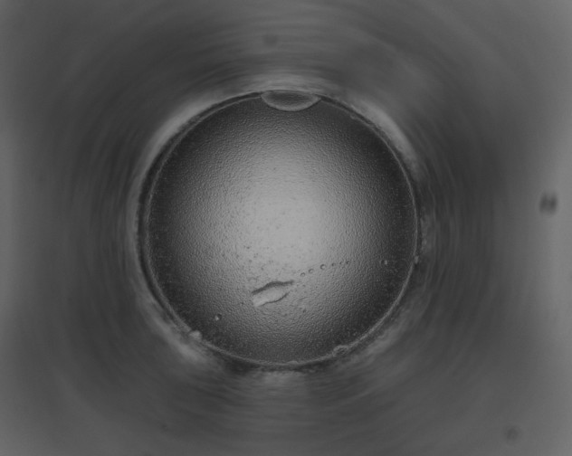 X0000096631043200802121043