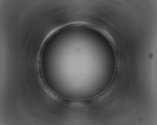 X0000096631044200802121043