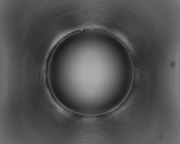 X0000096631046200802121043
