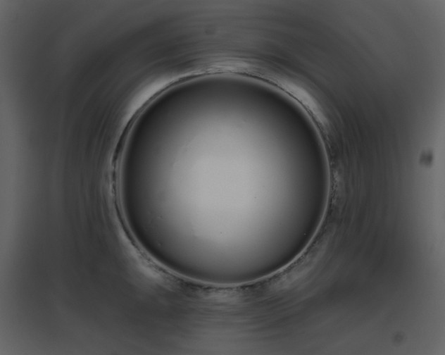 X0000096631047200802121043