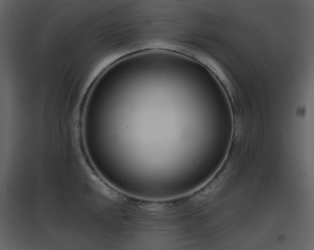 X0000096631048200802121043