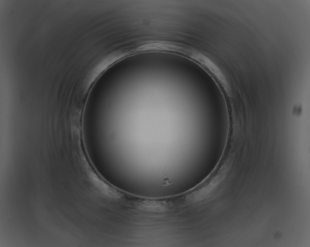 X0000096631049200802121043