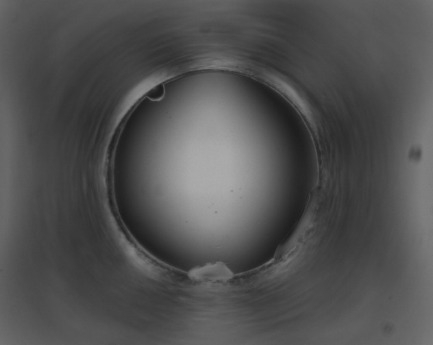 X0000096631050200802121043