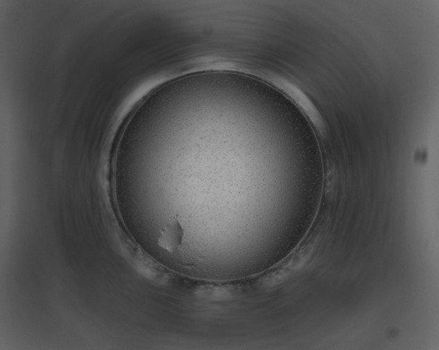 X0000096631051200802121043