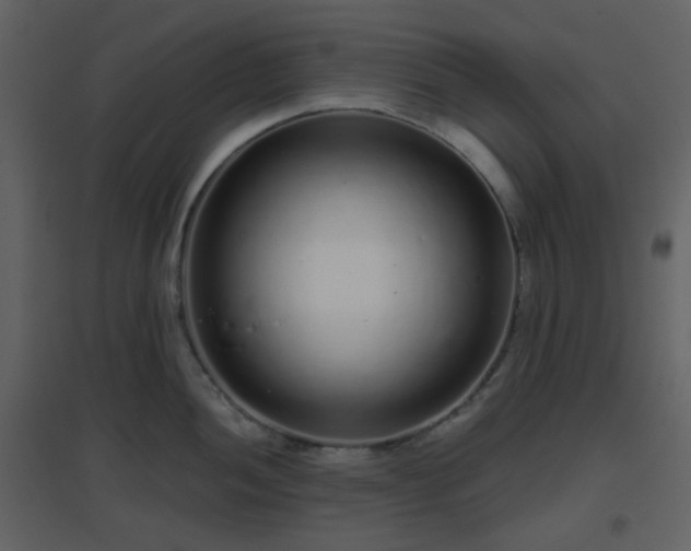 X0000096631052200802121043