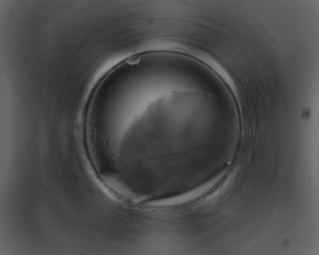 X0000096631053200802121043