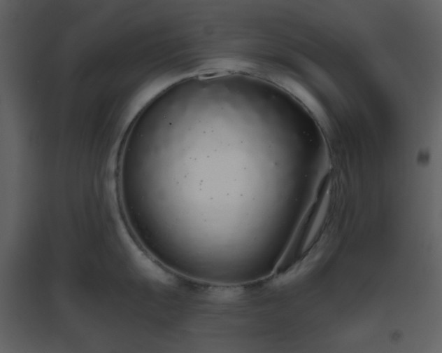 X0000096631055200802121043