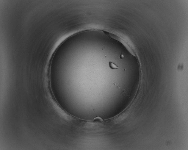 X0000096631056200802121043