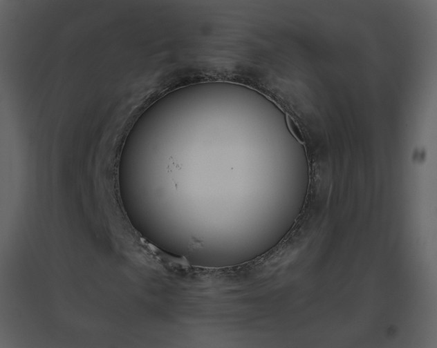X0000096631057200802121042