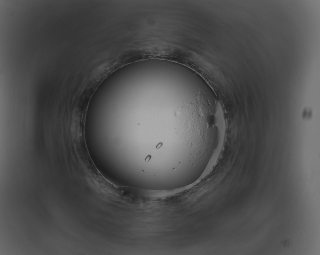 X0000096631058200802121042