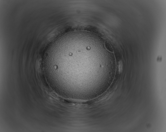 X0000096631059200802121042