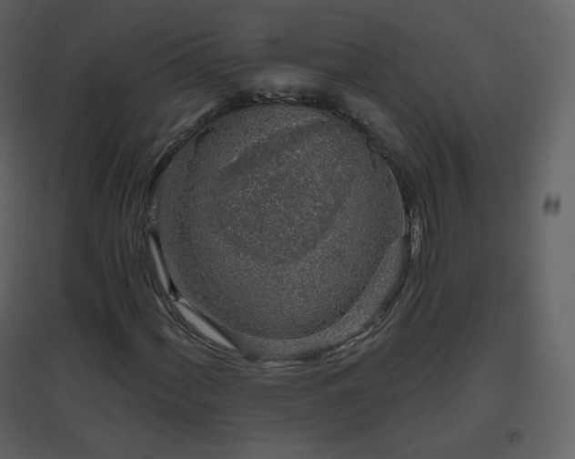 X0000096631060200802121042
