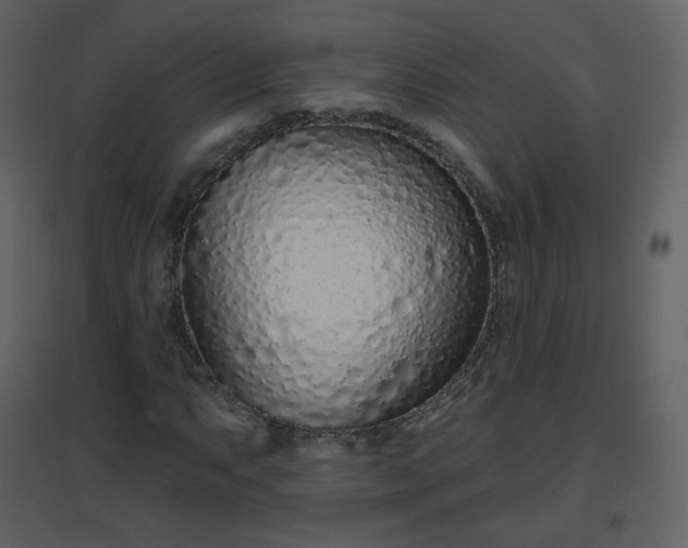 X0000096631063200802121042