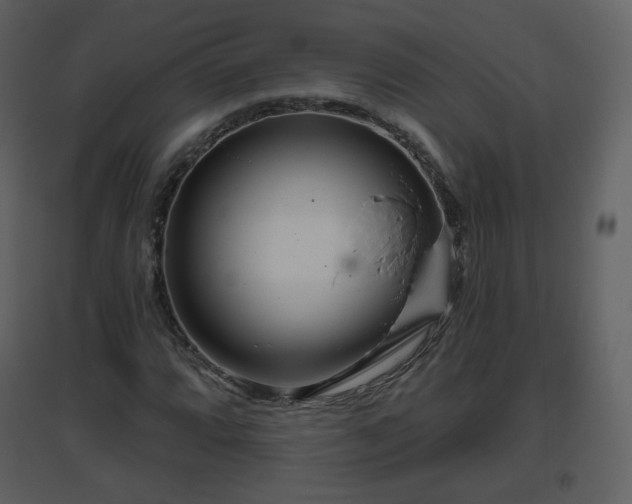 X0000096631064200802121042