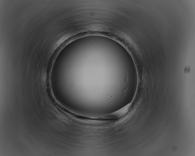 X0000096631065200802121042