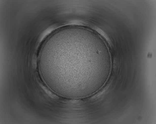 X0000096631067200802121042