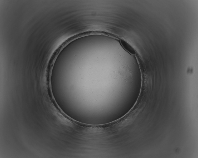 X0000096631068200802121042