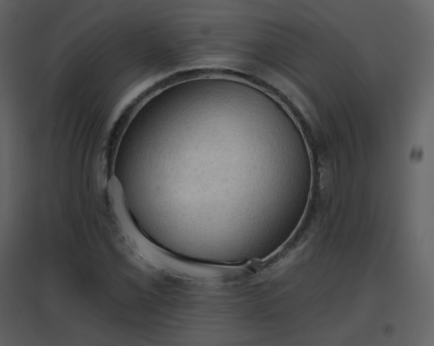 X0000096631069200802121042