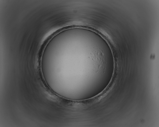 X0000096631070200802121042