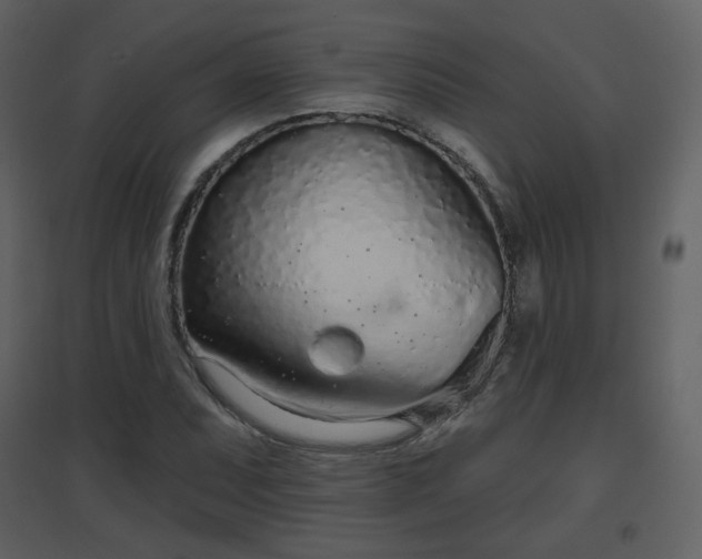 X0000096631071200802121042