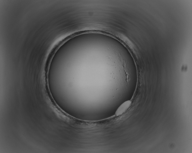 X0000096631072200802121042