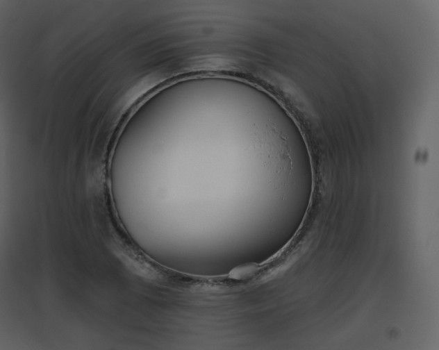 X0000096631073200802121042