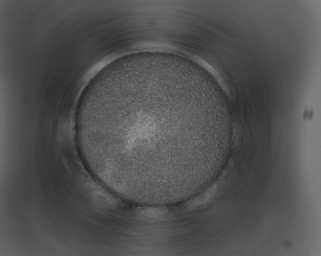 X0000096631074200802121042