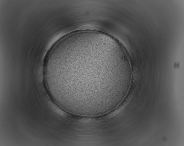X0000096631075200802121042