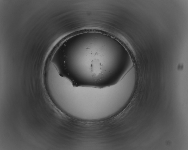 X0000096631076200802121042