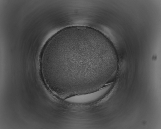 X0000096631077200802121042